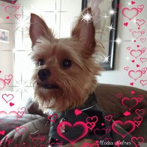 Meet your Posher, Julie